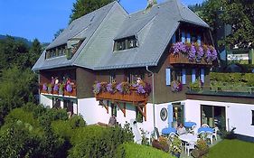 Pension Daheim Todtnauberg